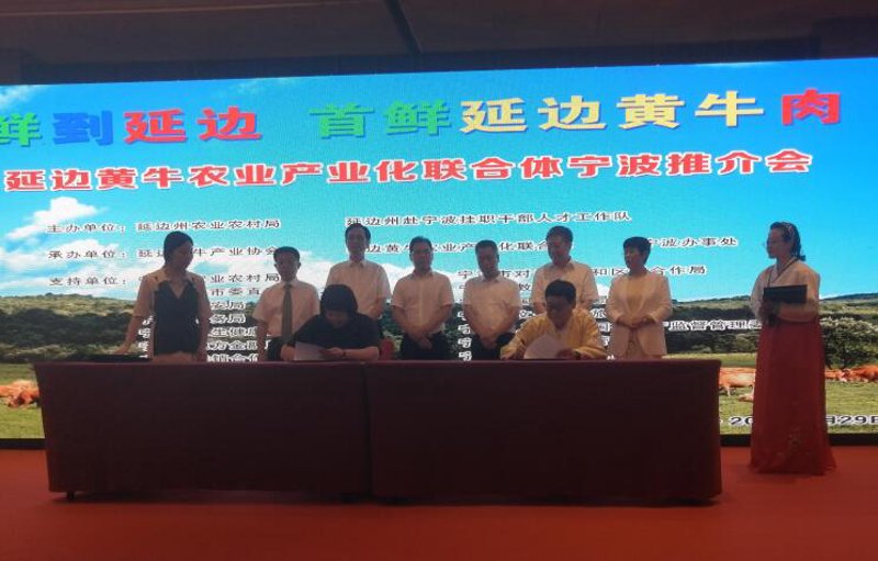 中兴牧业:探索未来农业的绿色之路
